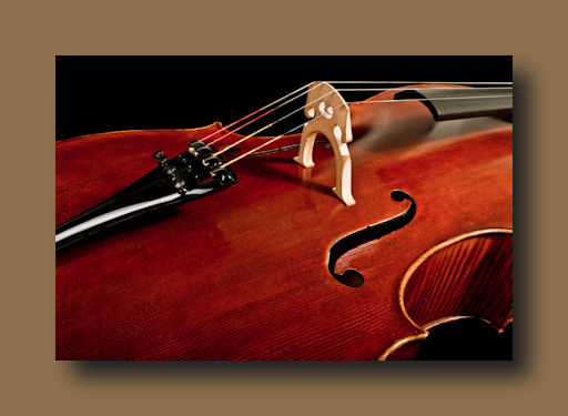 Fine Handmade Cellos