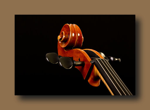 Chicago Cello for Sale