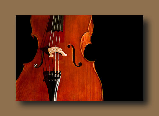U.S. Cello Maker